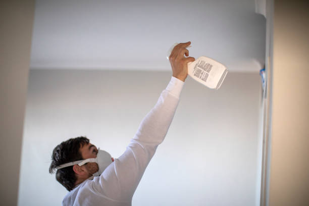 Mold Removal Process in Caldwell, TX