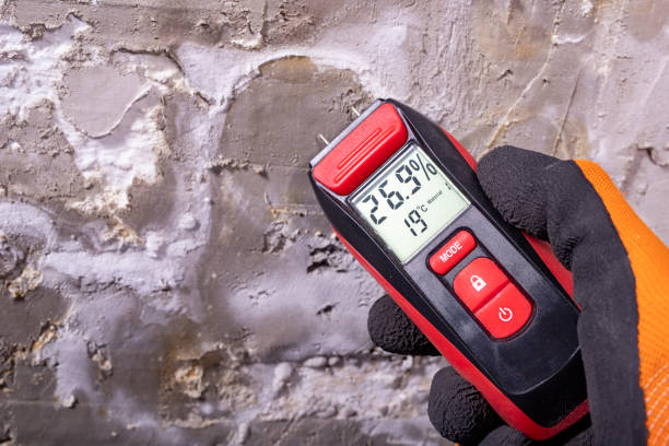 Trusted Caldwell, TX Mold Removal Experts