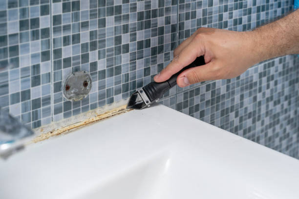 Best Residential Mold Removal  in Caldwell, TX