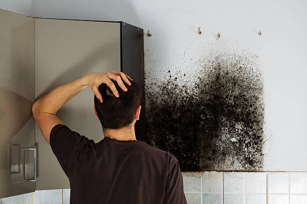 Best Toxic Mold Removal  in Caldwell, TX